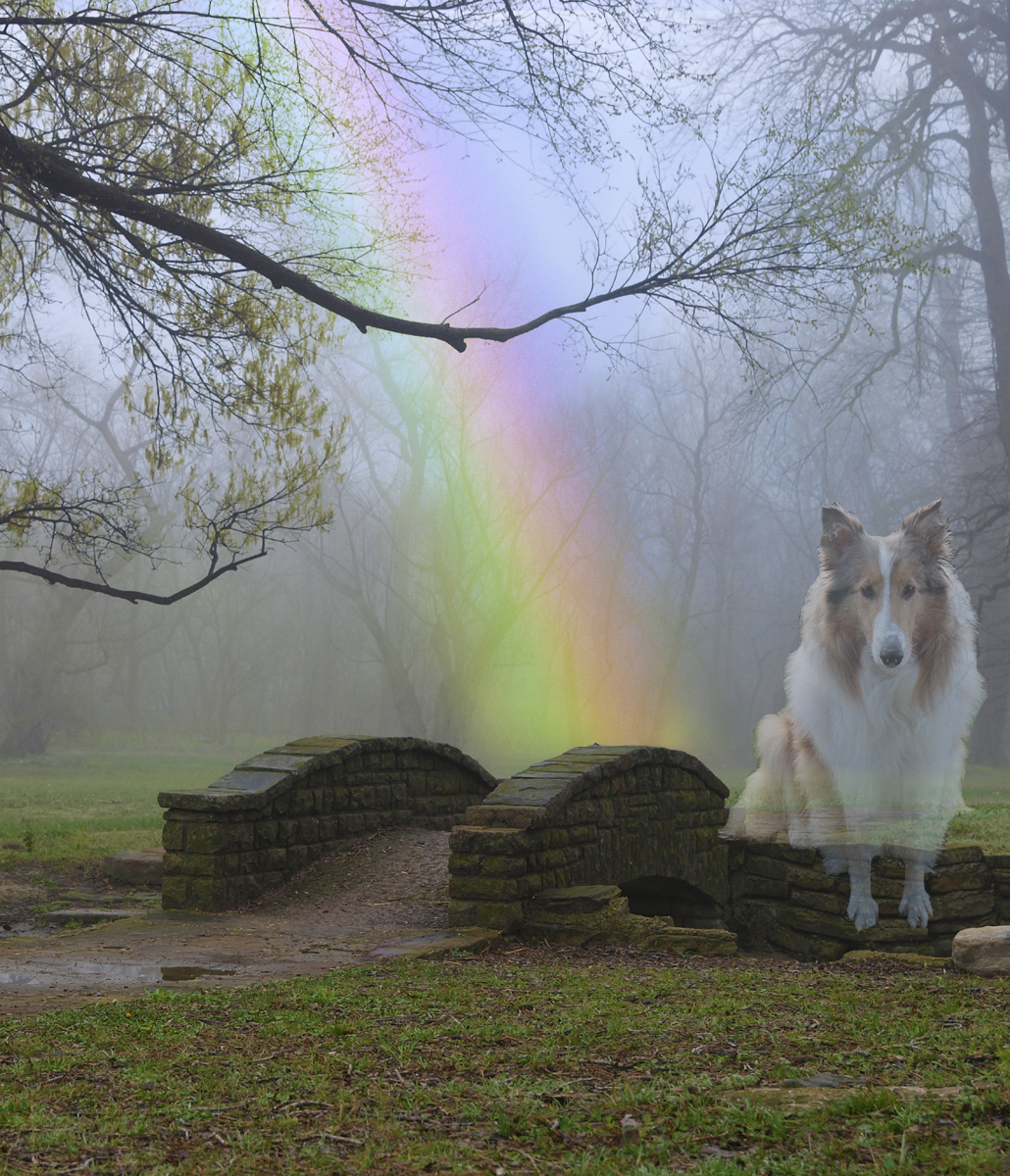 Cassy Regenbogenbrücke